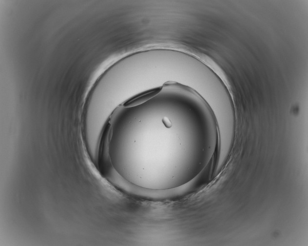 X0000090601005200707241039