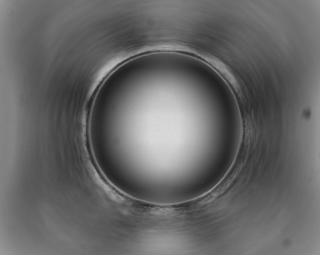 X0000090601006200707241039