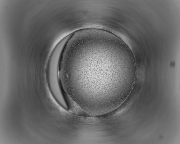 X0000090601007200707241039