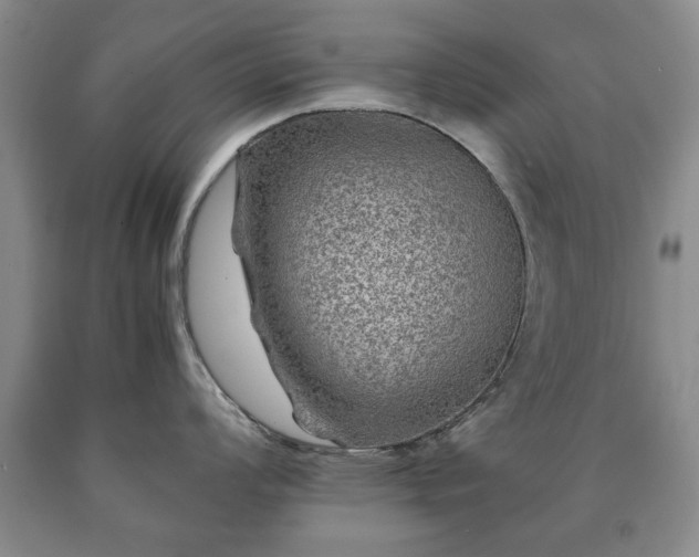 X0000090601008200707241039