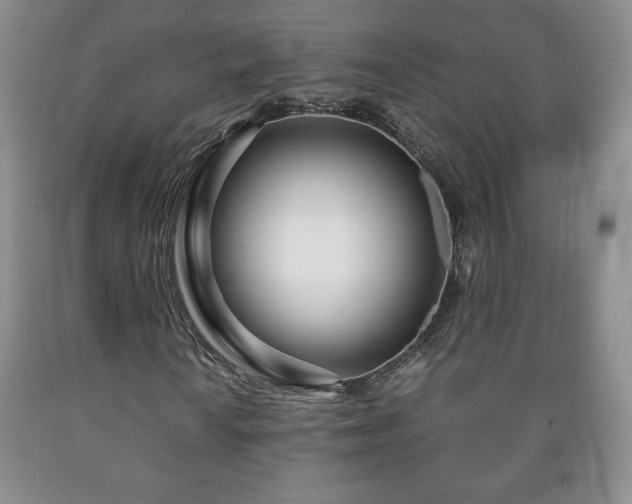 X0000090601010200707241038