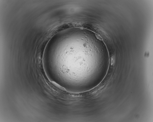 X0000090601011200707241038