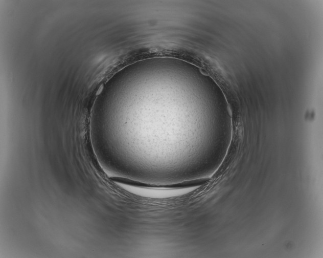 X0000090601012200707241038