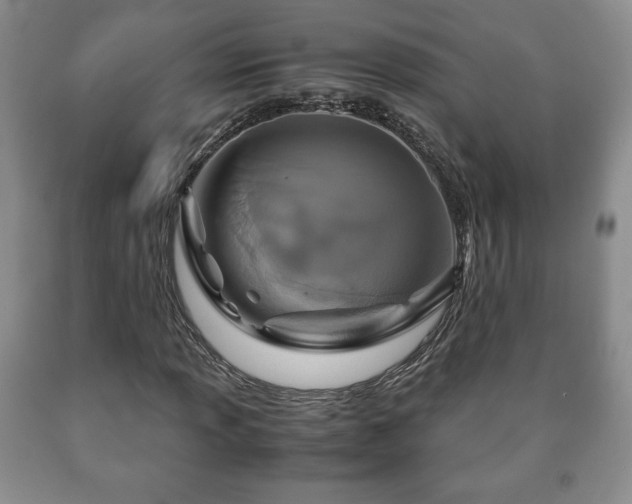 X0000090601013200707241038