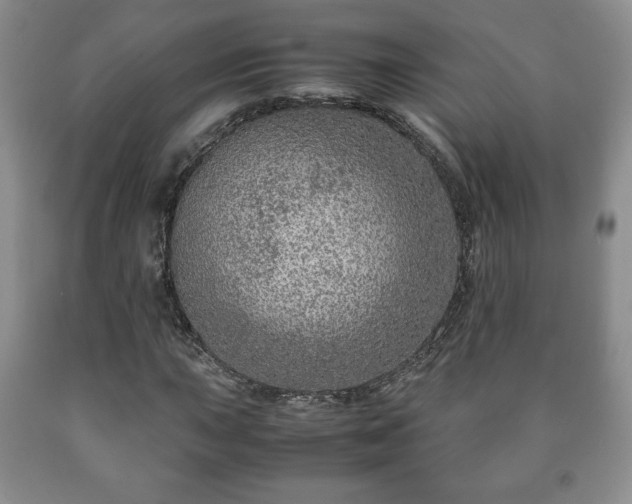 X0000090601015200707241038