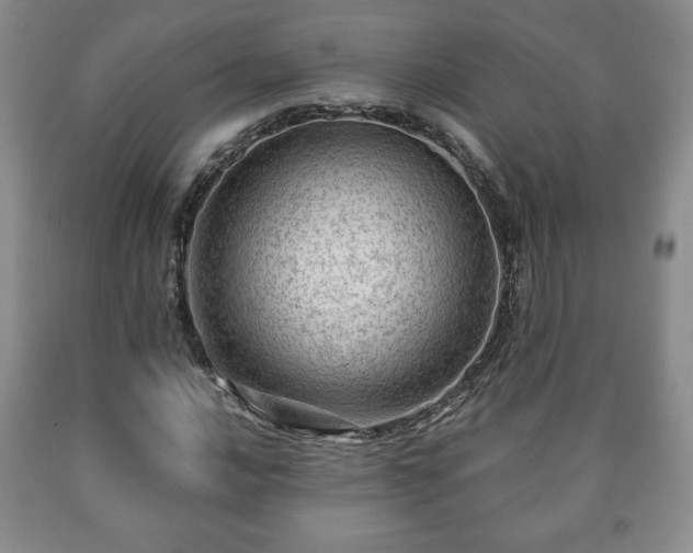X0000090601016200707241038