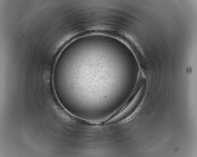 X0000090601017200707241038