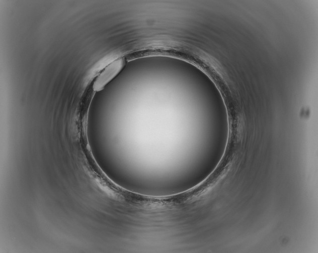 X0000090601018200707241038