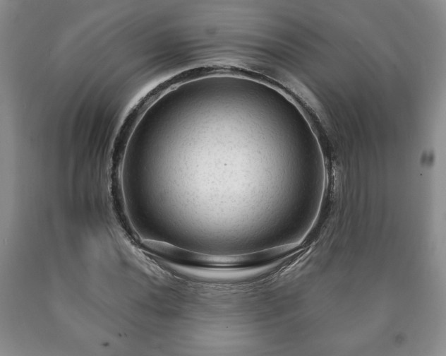X0000090601020200707241038