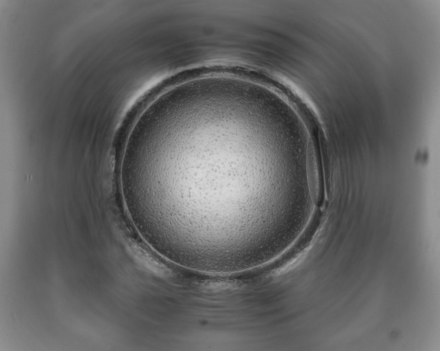 X0000090601021200707241038