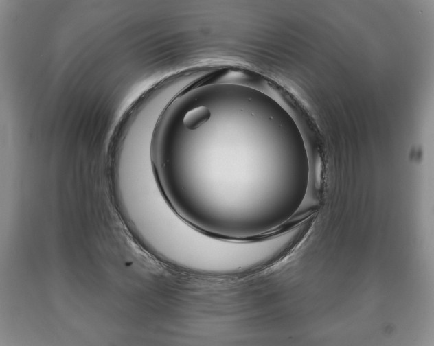 X0000090601022200707241038