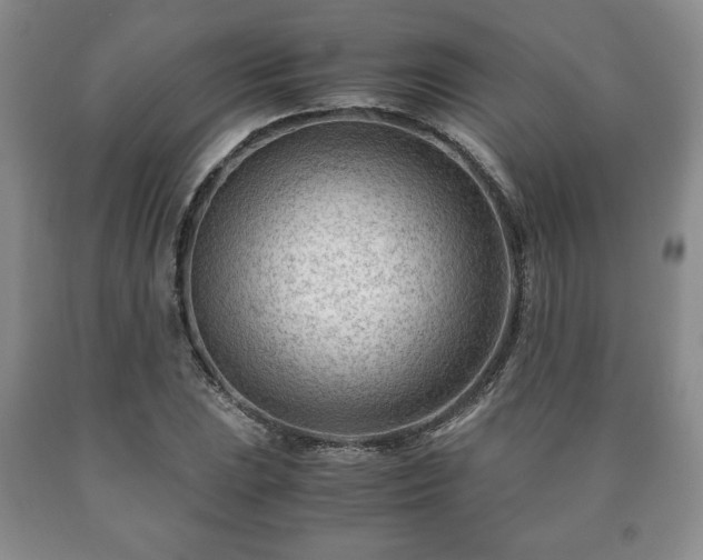 X0000090601023200707241038