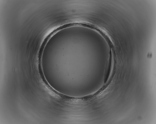 X0000090601024200707241038