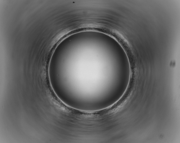 X0000090601025200707241038