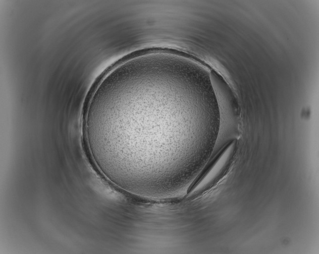 X0000090601028200707241039