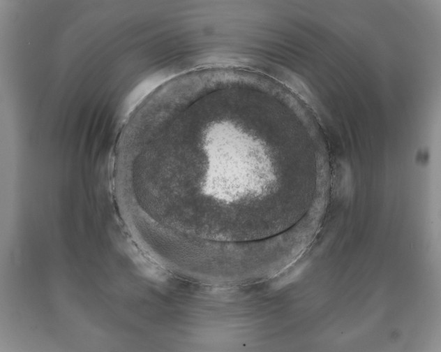 X0000090601030200707241039
