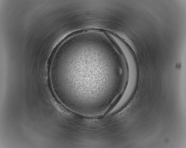 X0000090601031200707241039