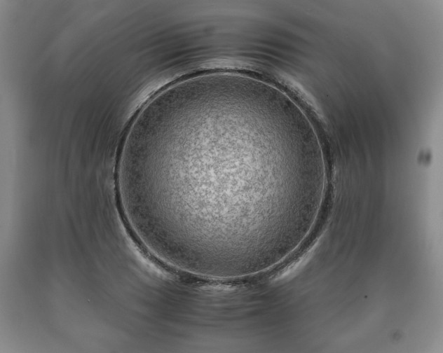 X0000090601033200707241039