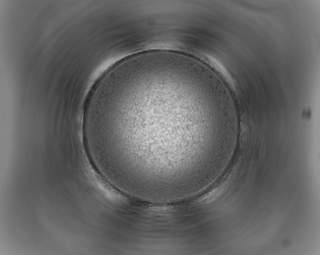 X0000090601035200707241039