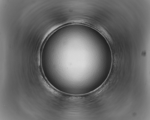X0000090601036200707241039