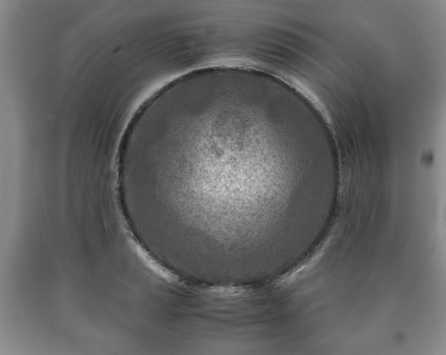 X0000090601037200707241039
