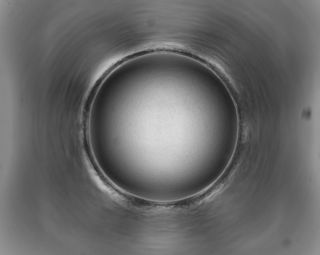 X0000090601038200707241039