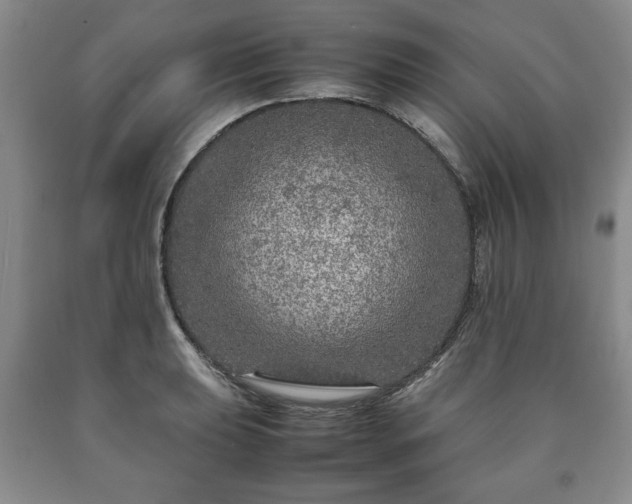 X0000090601039200707241039