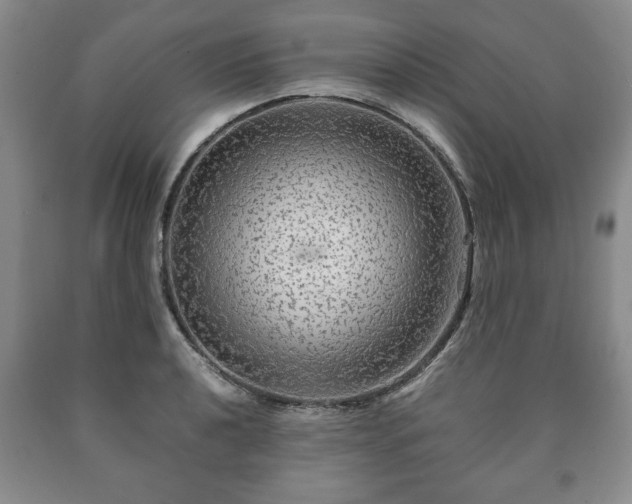X0000090601040200707241039