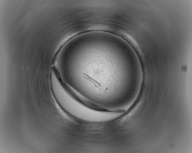 X0000090601041200707241039