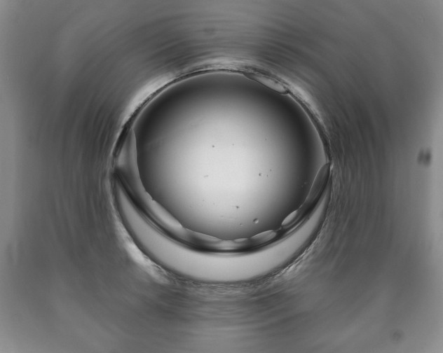 X0000090601042200707241039