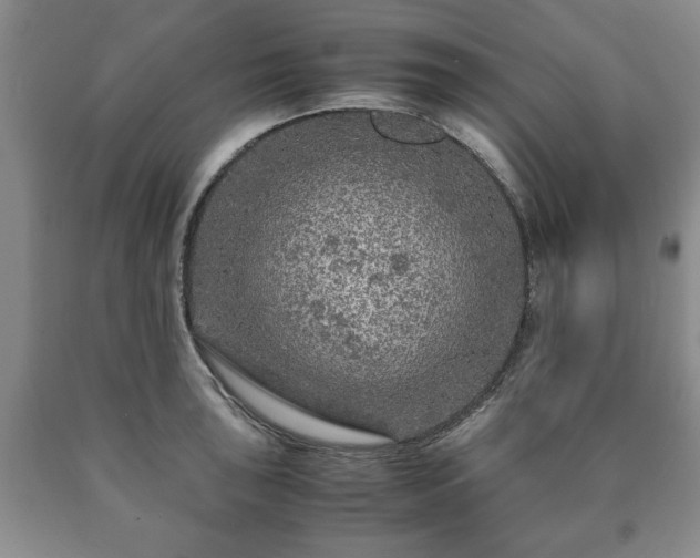 X0000090601043200707241039