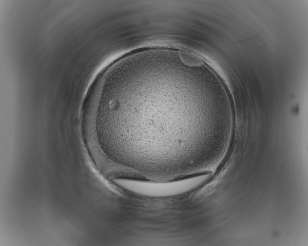 X0000090601045200707241039