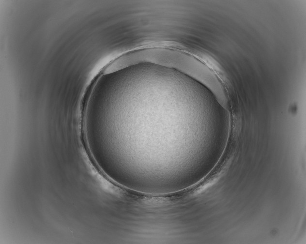 X0000090601046200707241039