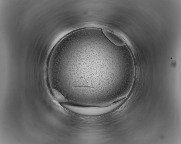 X0000090601048200707241039