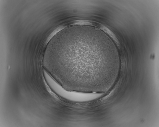 X0000090601049200707241039