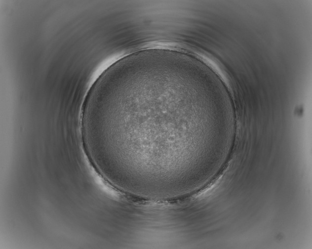 X0000090601050200707241039
