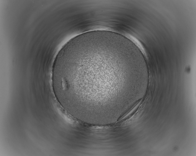 X0000090601051200707241039