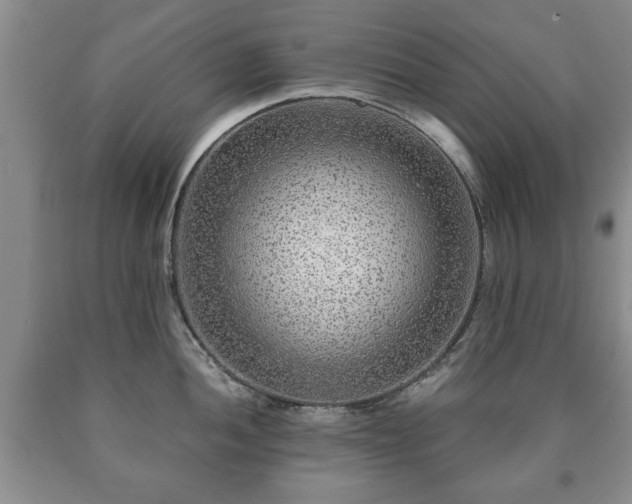 X0000090601052200707241039