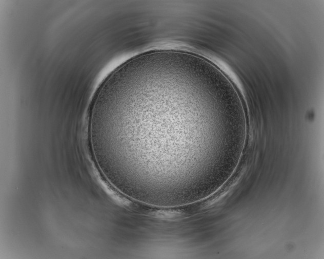 X0000090601053200707241039