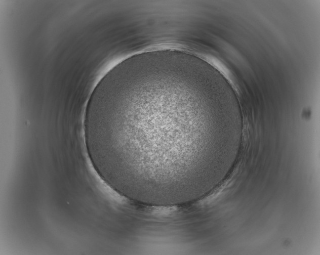 X0000090601055200707241039