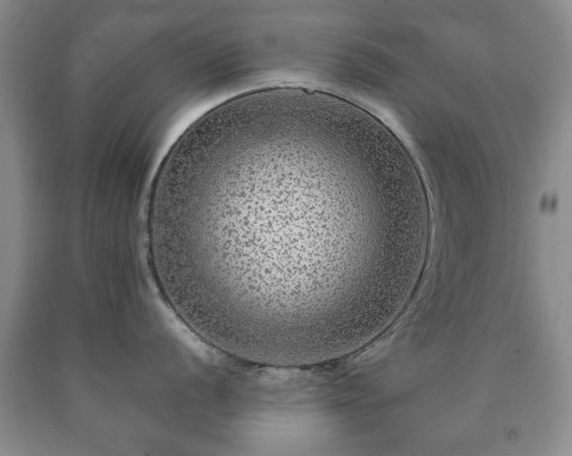 X0000090601056200707241039