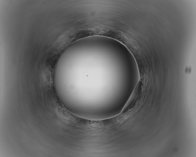 X0000090601058200707241038