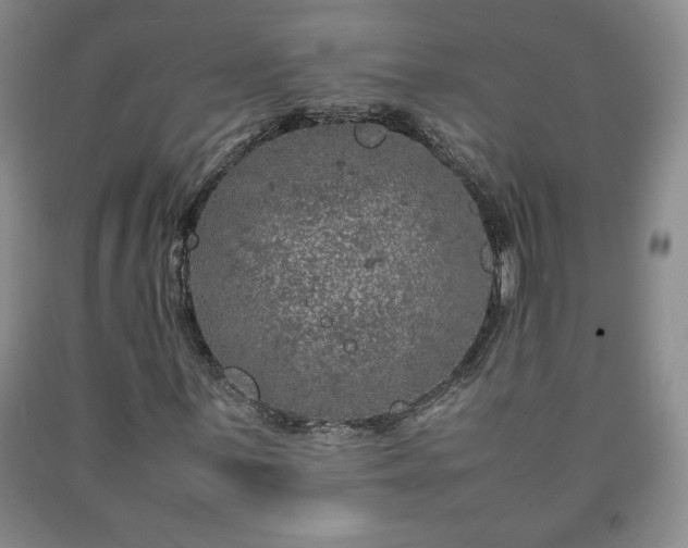 X0000090601059200707241038