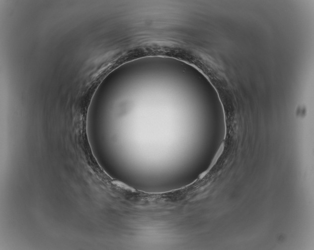X0000090601061200707241038