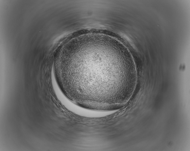 X0000090601063200707241038