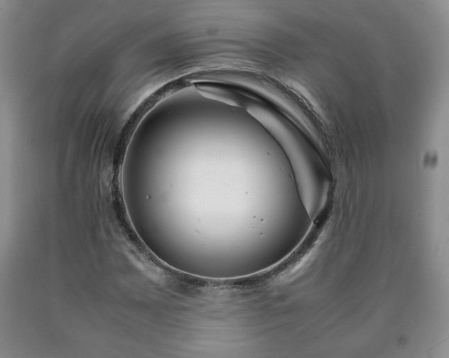 X0000090601065200707241038