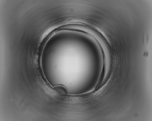 X0000090601066200707241038
