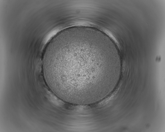 X0000090601067200707241038