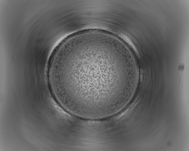 X0000090601068200707241038