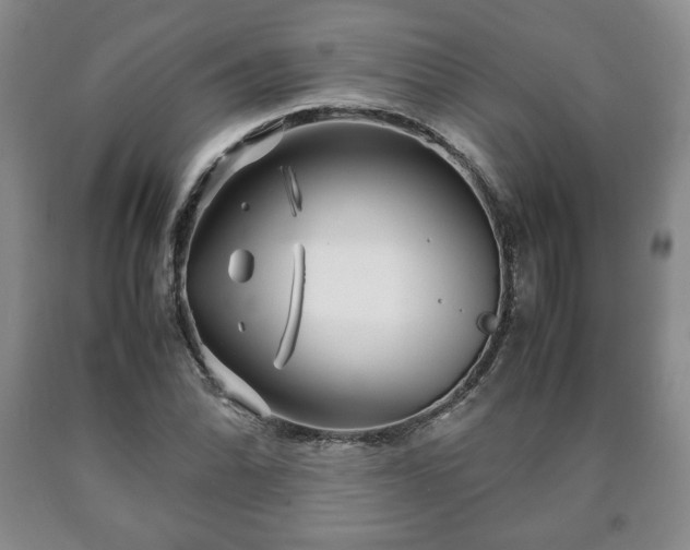 X0000090601070200707241038